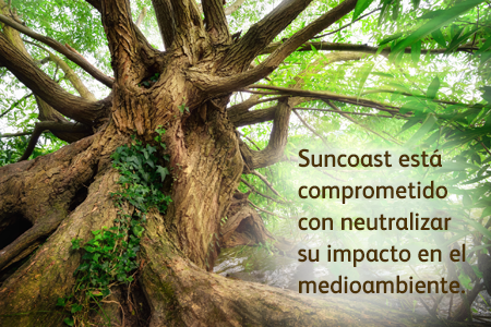 Suncoast Credit Union está comprometido con neutralizar su impacto en el medioambiente.